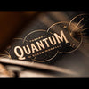 quantico | Calen Morelli | teoria 11