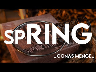 Primavera de Joonas Mengel