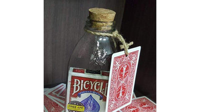 Jeu de cartes en bouteille (voir note !) chez JL Magic Deinparadies.ch