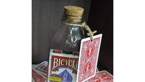 Kartenspiel in Flasche (siehe Hinweis!) JL Magic bei Deinparadies.ch