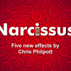Narcissus (Global) by Chris Philpott Murphy's Magic bei Deinparadies.ch