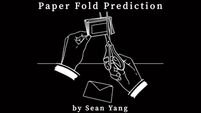 Paper Fold Prediction by Sean Yang Magic Owl Supplies bei Deinparadies.ch