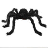 Ragno gigante peloso nero - 75 cm - Deinparadies.ch