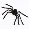 Giant spider hairy black Deinparadies.ch consider Deinparadies.ch
