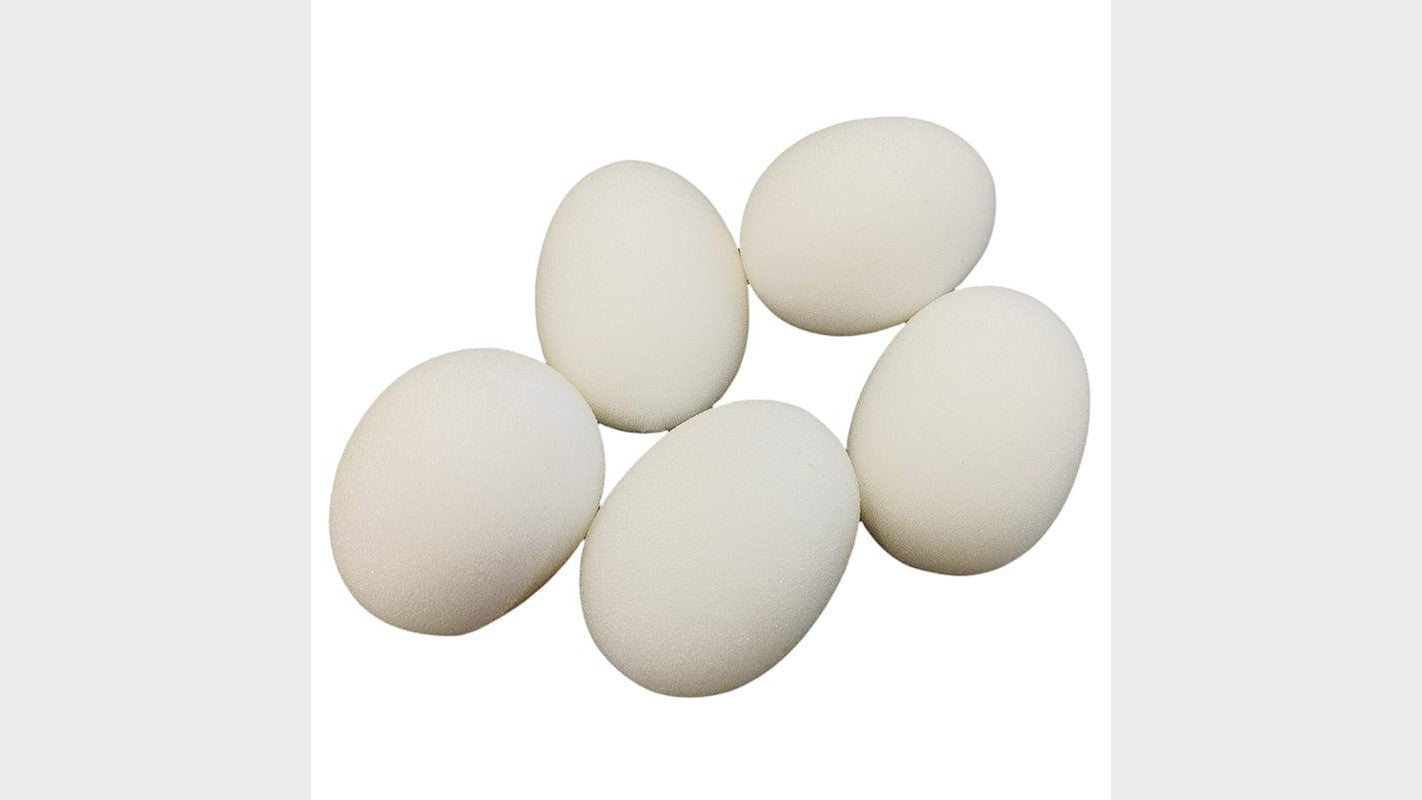Juego de 5 huevos de gomaespuma Deinparadies.ch en Deinparadies.ch