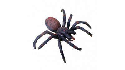 Black rubber spider 14cm Chaks at Deinparadies.ch