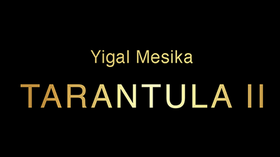 Tarántula II | Yigal Mesika Yigal Mesika en Deinparadies.ch