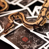 Venom Deck by US Playing Cards Alakazam Magic bei Deinparadies.ch